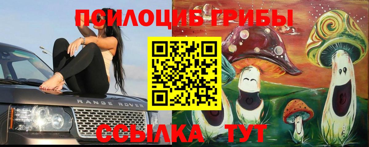 Великий Устюг  Псилоцибиновые грибы мицелий  Вход с VPN 